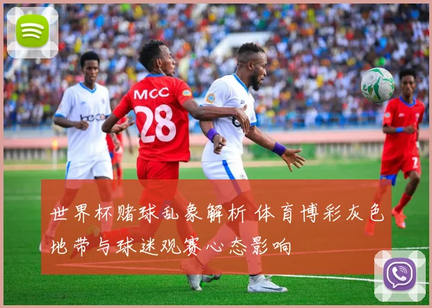 世界杯赌球乱象解析 体育博彩灰色地带与球迷观赛心态影响