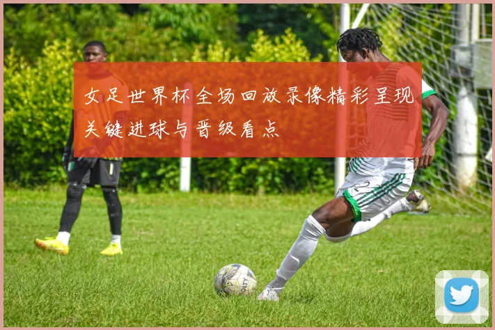 女足世界杯全场回放录像精彩呈现关键进球与晋级看点