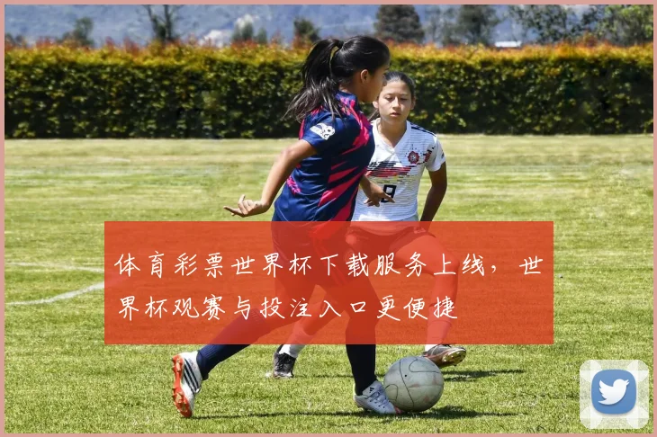 体育彩票世界杯下载服务上线，世界杯观赛与投注入口更便捷